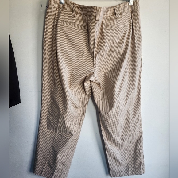 NWT Talbots Cropped Tan Stripped Cotton/Spandex Ankle Length Pants size 14 - Picture 4 of 11